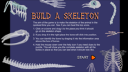 Build a Skeleton
