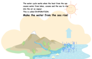 The Water Cycle Game
