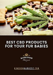 Best CBD Products for Your Fur Babies by Kingdom Harvest - Issuu