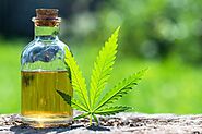 What Are the Different Types of CBD Oils?