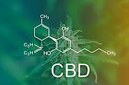 What is the Difference Between Hemp CBD and Cannabis CBD