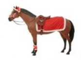 Horse Clothing and Fly Sheets For Sale - Fly Masks, Horse Coolers, Mountain Horse Clothing, and Horse Clothing Catalog
