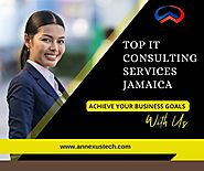 Top Reasons to Hire an IT Consultancy Company in Jamaica – AnnexusTech