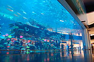 Dubai Aquarium