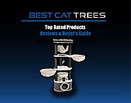 Best Cat Tree For Large Cats Reviews