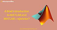 A Brief Introduction to MATLAB and MATLAB * operator?