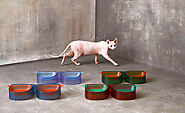 Neon Colored Elevated Double Cat Bowl
