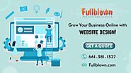Custom Website Design & Development Services