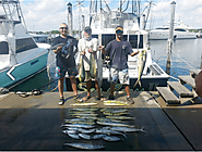 Miami Sportfishing Charters