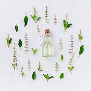 Shop Aromatherapy Essential Oils at TARA Spa Therapy Online Store..!