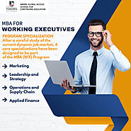 NMIMS MBA WX Program for Working Executives - Learning Routes