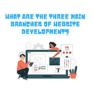 What Are The Three Main Branches of Website Development?