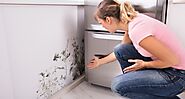 Effective Mold Solutions For Apartment Mold Inspection | Texas Home Auditors