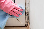 Warning Signs Of Mold Development And Handling Mold Problem In House