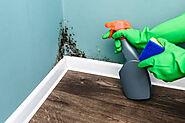 We Offer Best House Mold Inspection Service