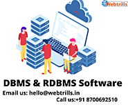 DBMS and RDBMS Software Development Company in Delhi