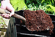 How To Use Rooting Powder For Plant Growth With Mycorrhizal Fungi