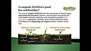 Different Organic Fertilizers - Types Of Fertilizer For plant growth
