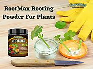 Get Organic Rooting Powder For Plants In UK | Growmate
