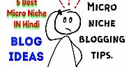5 Best Micro Niche blog ideas 2021 in hindi.