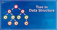 Tree Data Structure - DataFlair