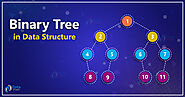 Binary Tree Data Structure - DataFlair