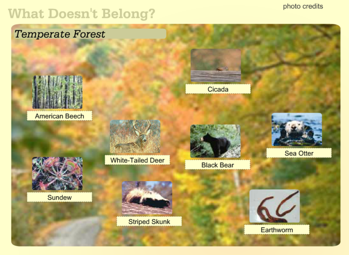 Habitats A Listly List