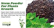 Organic Neem Powder - Azadirachta indica | Indogulf