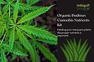 Grow Organic Cannabis with Indogulf bio fertilizers