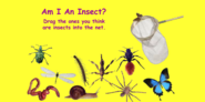 Am I an Insect?