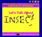 Let's Talk About Insects