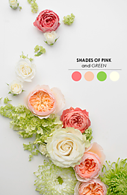 10 Wedding Color Palettes You Need to Consider!
