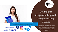 Assignment help experts