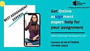 Online assignment expert