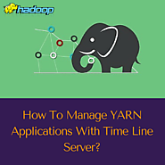 How to manage YARN applications with Time line server?