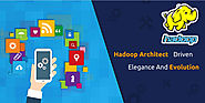 Hadoop Architect: Driven By Elegance And Evolution