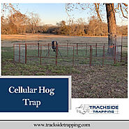 Buy Diy Cellular Hog Trap Trigger