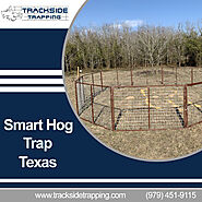 Buy Diy Hog Trap Gate now