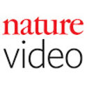 Nature Videos