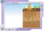 Soil Horizons