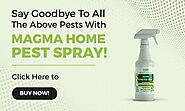 Magma Home Pest Spray