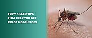 7 Tips How to Get Rid of Mosquitoes Inside the House - MDX Concepts