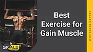 8 Best Exercise for Gain Muscle | Skale Fitness in Chennai