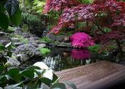 Japanese Garden