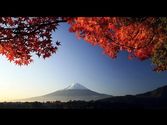 3 HOURS of the Best Traditional Japanese Music ! - Relaxing Music - Meditation Zen Music