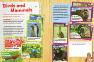 Birds and Mammals