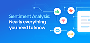 Sentiment Analysis: A Definitive Guide