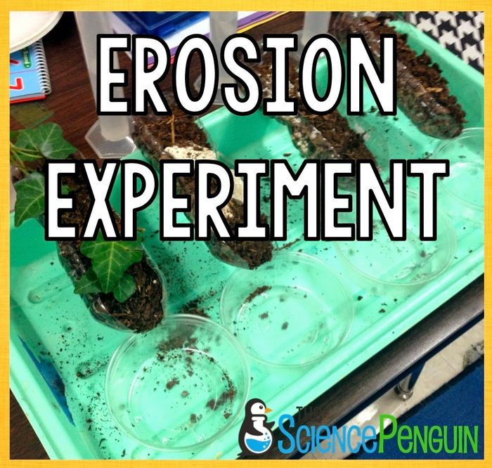 free-science-lesson-science-lessons-elementary-science-skills-easy