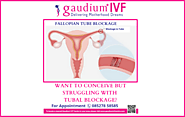 Fallopian Tubal Blockage | Fallopian Tube Blockage Treatment | Gaudium