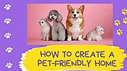 iframely: How to create a Pet-Friendly Home